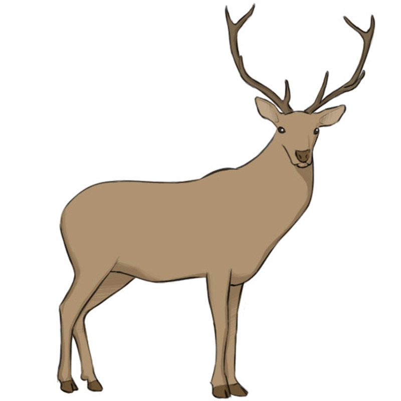 Deer with ears and antlers added